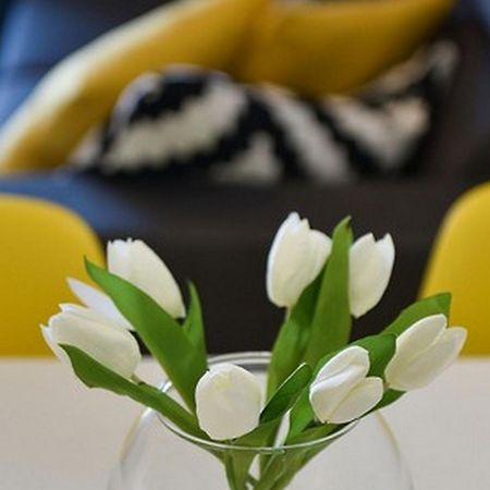 Mediterraneo Garden Apartments Petrcane Phòng bức ảnh