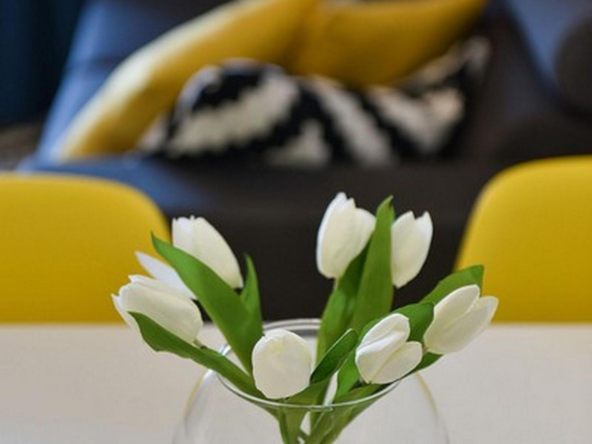 Mediterraneo Garden Apartments Petrcane Phòng bức ảnh